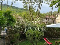 It was then back to their garden where the "Snowball tree" was flowering.