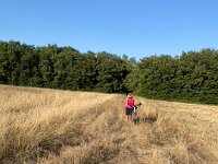 Bloody Google had the duo pedalling on "roads" that included farmer's fields and dead ends. Stephen's road bike was anything but suitable and his bruised coccyx was felt for weeks after.
