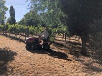 18th - On the 17th Paulie drove 8 hours back with Jon to his Victorian home in Yandoit Hills. The vineyard needed work as the grapes were nearly ready to be netted. Paulie did extra gardening.