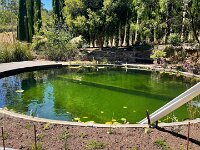 A natural swimming pool (no pump/chemicals)
