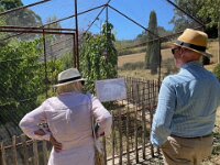 Having congratulated the athletic young ones, the elderly trio then headed to the Adelaide Hills to see some private  gardens open to the public.