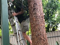 And gutter clearing. And the short month was over. Stephen spent the next few days with Nick and Jess.