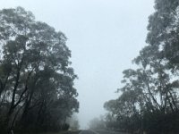 The duo headed over the Blue Mountains towards Sydney en route to their pit stop in Woolgoolga (Woopi)