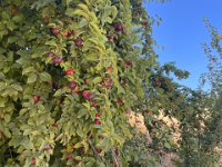 There was even a snack half way