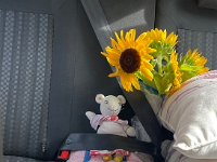 Passengers were buckled in