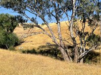 And interesting beasts to chat to