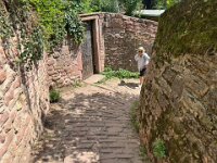 Later that day, the duo crossed into Germany. They went for a stroll up the Philosopher's walk (Philosophenweg) in Heildelberg