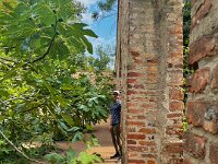The Royal Garden
