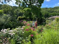 The beautiful gardens. Paulie & Stephen last visited with Pal Storm the previous year.