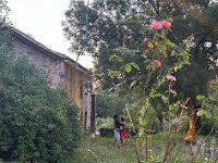 Yolande's nephew, Pedro, and girlfriend shared a close moment after Pendro delivered a practice presentation on his Ancient History Master's thesis on ancient cultural & religious hybridisation in Corsica (Corse).