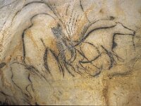 8th - Another interesting tour- off to the prehistoric Grotte de Pech Merle (Caves of Pech Merle). These photos of the over 20,000 year old paintings photos are care of the Pech Merle website. Cameras are no longer allowed as they were on Paulie & Stephen's first visit.