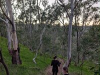 An introduction trail running