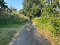 26th - the guys went on for a cycle up "one tree hill" (segalar)