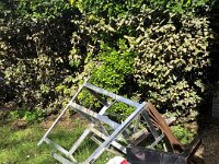 Then it was to work. Electricity was at last working.  Destroyed stuff was collected by helper and friend Karianne to  take to the déchetterie