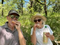 And a picnic lunch