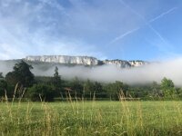 some misty mornings