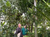 20th - into town to visit the UK's oldest  botanic Gardens across from Magdalen College.