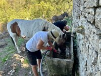 Other chores at the farm were completed